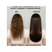 AC1101 Set of shampoo and air conditioning with ginger - Buy Online on GoSupps.com