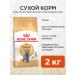 Royal Canin Cat for cats dry British shorthair for British 2 kg