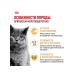 Royal Canin Cat for cats dry British shorthair for British 4 kg - Buy Online on GoSupps.com