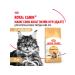 Royal Canin Cat food dry Maine Coon 2 kg - Buy Online on GoSupps.com