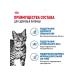 ROYAL CANIN Wet feed indoor sterilized for cats 85 g 12 pcs - Buy Online on GoSupps.com