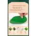50pcs of plasters from Chinese herbal wormwood wormwood - Buy Online on GoSupps.com