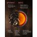 Legend of Taste Black berry tea premium with raspberries and honey 100 g - Buy Online on GoSupps.com