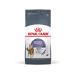 ROYAL CANIN Dry food of cats Appetite Control Care 400g - Buy Online on GoSupps.com