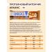 SHOCKS Assorted # 1 Protein bars in chocolate without sugar 12 pcs - Buy Online on GoSupps.com