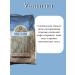 Mishkin's Chest Coffee ground Turkish Brazilian Filter Coffee 250 grams - Buy Online on GoSupps.com