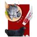 Bemate Paste 120g for dogs and cats-red liver - Buy Online on GoSupps.com