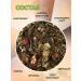 ONE2SHOP Herbal tea taiga - Buy Online on GoSupps.com
