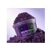 Organic shop Wild Blackberry 250ml Body Body - Buy Online on GoSupps.com