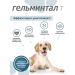 Helmintal tablets for dogs more than 10 kg 2 tablet E304 - Buy Online on GoSupps.com