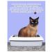 How to accustom a puppy to the toilet - Buy Online on GoSupps.com