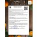 Iva tea Ginger tea "Mulled wine" warming - Buy Online on GoSupps.com