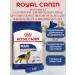 ROYAL CANIN Dry food for dogs of large breeds Maxi Adult 3kg