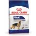 ROYAL CANIN Dry food for dogs of large breeds Maxi Adult 3kg - Buy Online on GoSupps.com
