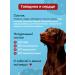 Dog food is wet with beef 850 g 6 pcs - Buy Online on GoSupps.com