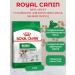 ROYAL CANIN Dry feed for dogs of small breeds Mini Adult 2kg