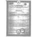 VMIN LLC Steambifid plus tablets 500 mg 40pc -1 units - Buy Online on GoSupps.com
