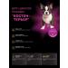 Quattro Boston-terrier puppy food with beef 12 kg - Buy Online on GoSupps.com