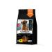 Quattro Brussels griffon fodder for puppies with turkey 3 kg