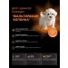 Quattro Feed for puppies Maltese Blinka with turkey 800 grams - Buy Online on GoSupps.com