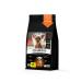 Quattro Feed for puppies Chinese crested with turkey 3 kg