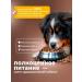 DILLY Dry food for dogs of chicken stew with rice 14 kg - Buy Online on GoSupps.com