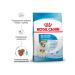 ROYAL CANIN Dry food mini Starter for small breed puppies 1 kg - Buy Online on GoSupps.com
