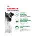 ROYAL CANIN Dry food mini adult for dogs of small rocks 8+ 4 kg - Buy Online on GoSupps.com
