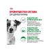 ROYAL CANIN Dry food mini adult for dogs of small rocks 8+ 4 kg - Buy Online on GoSupps.com