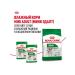 ROYAL CANIN Dry food mini adult for dogs of small rocks 8+ 4 kg - Buy Online on GoSupps.com
