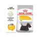 ROYAL CANIN Dry food mini dermacomfort for dog dogs 3 kg - Buy Online on GoSupps.com