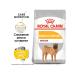 ROYAL CANIN Dry feed Medium Dermacomfort for dog dogs 10 kg - Buy Online on GoSupps.com