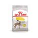 ROYAL CANIN Dry food Maxi Dermacomfort for large dogs 10 kg