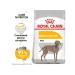 ROYAL CANIN Dry food Maxi Dermacomfort for large dogs 10 kg - Buy Online on GoSupps.com