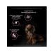 PRO PLAN Dry food for dogs of small breeds for skin with salmon 7kg - Buy Online on GoSupps.com