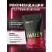 Whey Gold Standard 450 gram - Buy Online on GoSupps.com