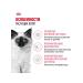 ROYAL CANIN Dry food for kittens aged 4 to 12 months 2 kg - Buy Online on GoSupps.com