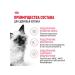 ROYAL CANIN Dry food for kittens aged 4 to 12 months 4 kg - Buy Online on GoSupps.com