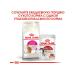 ROYAL CANIN Dry food Exigent Savoir Sensation for cats 400 g - Buy Online on GoSupps.com