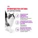 ROYAL CANIN Sensible dry food for cats 4 kg - Buy Online on GoSupps.com