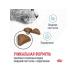 ROYAL CANIN Dry food Hairball Care for cats 2kg - Buy Online on GoSupps.com