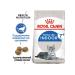 ROYAL CANIN Dry food indoor for cats 7+ 3.5 kg - Buy Online on GoSupps.com
