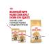ROYAL CANIN Dry food for Main-kun breed cats 400 g - Buy Online on GoSupps.com