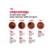 ROYAL CANIN Dry food for cat cats Main-kun 2kg - Buy Online on GoSupps.com