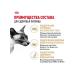 ROYAL CANIN Dry food for Siamese cats older than 1 year 2kg - Buy Online on GoSupps.com