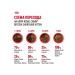 ROYAL CANIN Dry food for kittens of breeds British short -haired 2kg - Buy Online on GoSupps.com