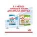 ROYAL CANIN Dry food X-Small Puppy for small breed puppies 3 kg - Buy Online on GoSupps.com