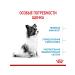 ROYAL CANIN Dry food X-Small Puppy for small breed puppies 3 kg - Buy Online on GoSupps.com