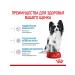ROYAL CANIN Dry food X-Small Puppy for small breed puppies 3 kg - Buy Online on GoSupps.com
