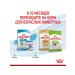ROYAL CANIN Dry food X-Small Puppy for small breed puppies 3 kg - Buy Online on GoSupps.com